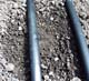 dripline for a drip irrigation system