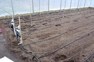 drip irrigation systems