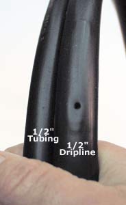 drip irrigation