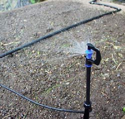 drip irrigation