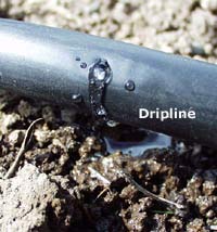 drip irrigation systems