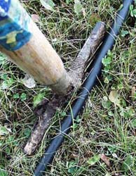 drip irrigation systems