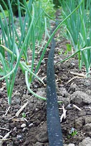 Thinwall tubing